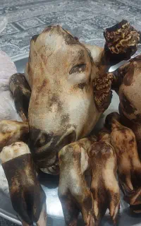 کله پاچه پاک کرده آماده پخت تمیز تمیز