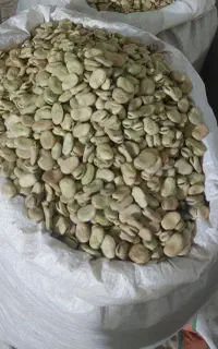 باقلا امسال