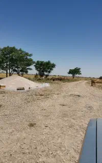 3 تن گندم