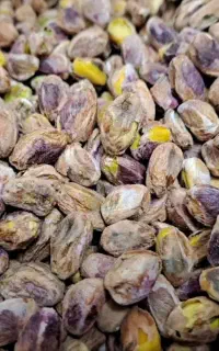 مغز پسته و مغز گردو مغز تخمه