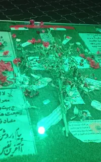 فال سرکتاب
