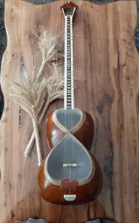 تار حرفه ای
