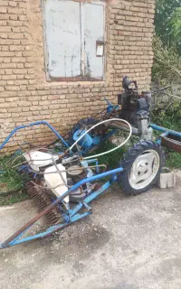 دروگر BCS گندم چین ایتالیایی