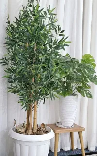 درختچه مصنوعی(تنه طبیعی و برگ وارداتی)