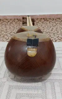 تار حرفه ای