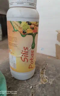 سلیس پتاس