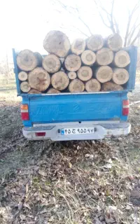 خرید انواع چوب