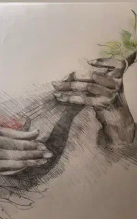 آموزش سه تار نوازی