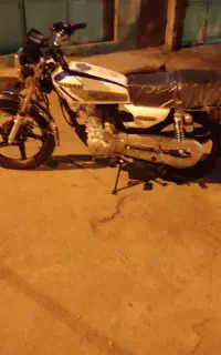 سرحال‌ وحشی