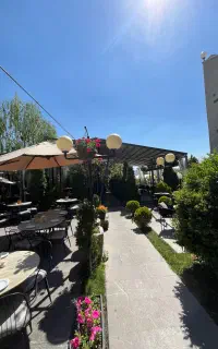 ویتر ، سالنکار ساده
