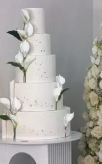 نیرو قنادی خانم