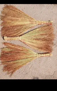جاروی میانه