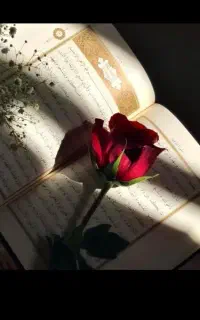 فال شخصی زندگینامه