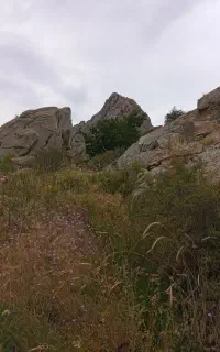 ۴ خروار یونجه چین دوم پشدورو