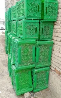 سبد دو کلیو نیمی سرکان ۸۰عدد