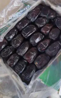 خرما رطب درجه یک بسته کامل نرخ شکن برادران رنجبر