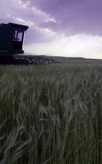 یک عدد کمباین جاندیر  ساده  کلش