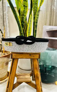 نظم دهنده قیطانی