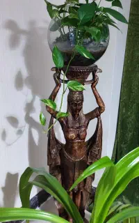 گل.