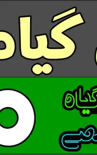 استخدام خانم گل آرایی