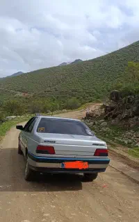 دربستی به تمام نقاط کشور با قیمت منصفانه