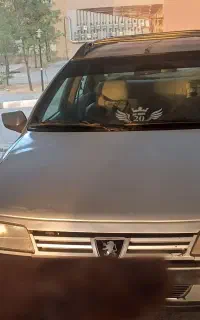 ۴۰۵ مدل ۸۹ دوگانه شرکتی