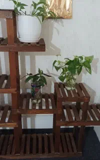 استند چوبی