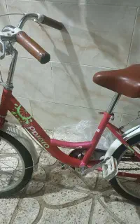 دوچرخه پاچرو ۲۰