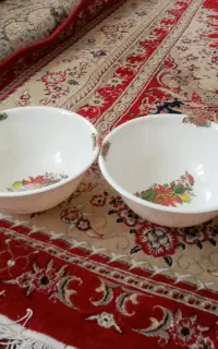 کاسه بزرگ ملامین دوتا جفت