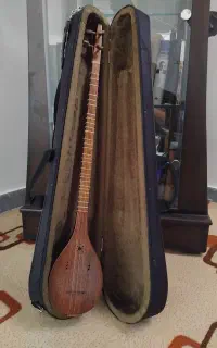 سه تار حرفه ای استاد ملکشاهی (پدر)