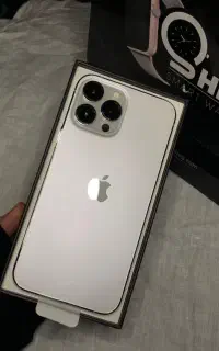 13pro max