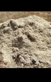 کاه