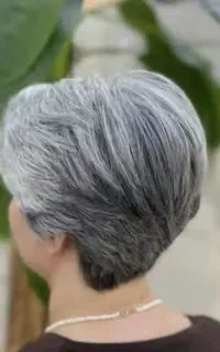 مدل رایگان کوتاهی