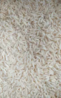 برنج دم سیاه
