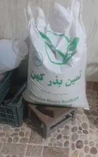 بذر یونجه رنجر