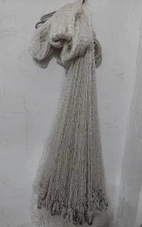 کور سالی