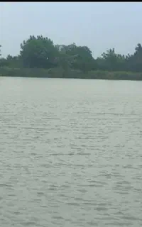520متر باغ مرکبات دونبش نزدیک دریاچه جاده نظامی