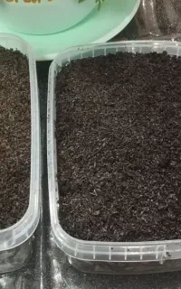 سبزی قرمه سبزی تازه اماده پخت