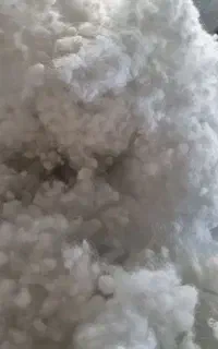 الیاف