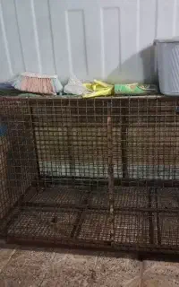 باکس حیوان برای سگ