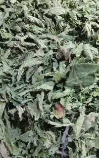نعنا خشک برگ ممتاز
