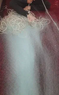 بافت انواع تورماهیگیری اهواز