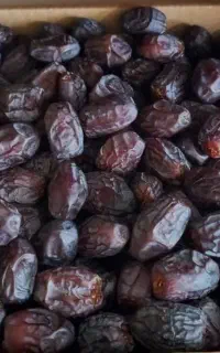 خرما