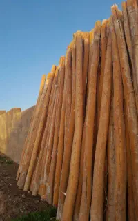 چوب