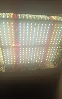 پنل led رشد