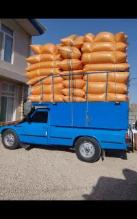 کاه