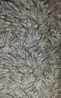 موکت 9ماه کارکرده زیرفرش بوده کلا