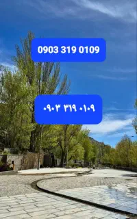 0903.319.0109