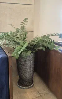 گل طبیعی با گلدان