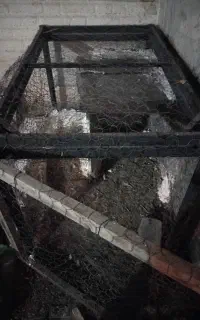 قفس پرنده بزرگ  مرع و خروس و کبوتر